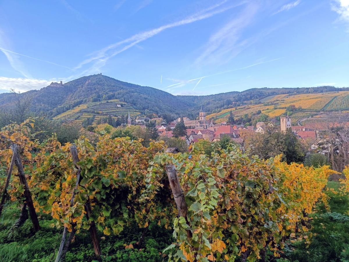 Un Balcon Sur Les Toits Leilighet Beblenheim Eksteriør bilde