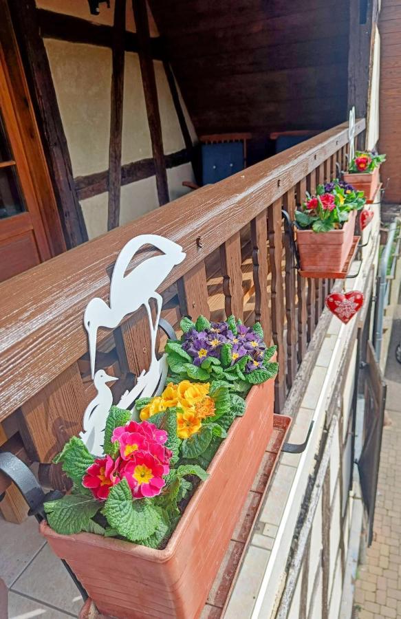 Un Balcon Sur Les Toits Leilighet Beblenheim Eksteriør bilde